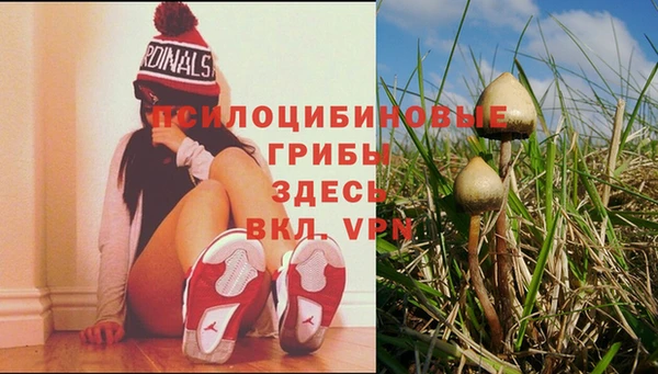 spice Абаза