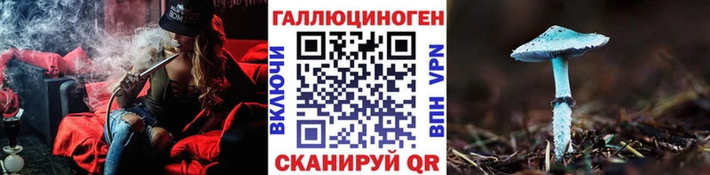 площадка формула Чекалин Галлюциногенные грибы мухоморы